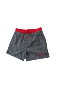 Dreaming Kings Swim Trunks